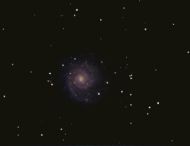 M74: Face on spiral galaxy in Pisces