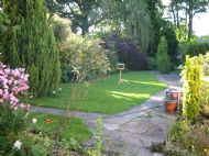 Back Lawn