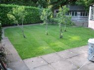 Private Hedged Side Garden and Patio