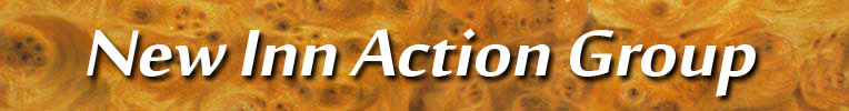 New Inn Action Group