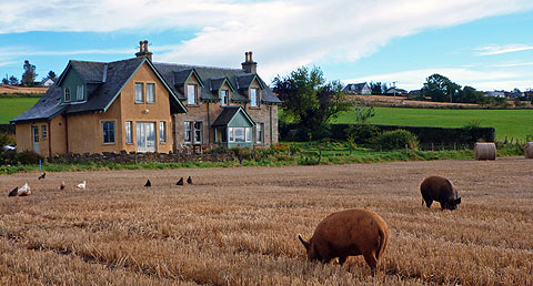 netherton is a working farm