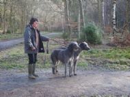 Caroline with Ch Cute Coney and her son Cscarf O'cockaigne who lives her with the Ardneish  and we love him