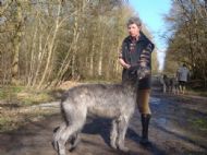 Sonya Fritzens Silver