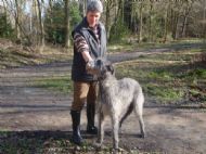 Sonya with Ger CH  Fritzens Silver Cloud