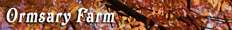 Ormsary Farm B&B