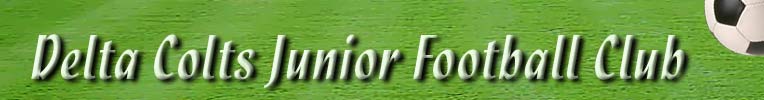 delta colts junior football club