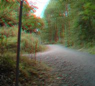 Path 1