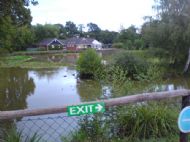 The pond at Campsite