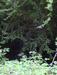 Waterfall Hay on Wye