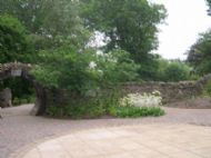 Planting next to the Moon Gate