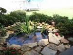 Garden Pond