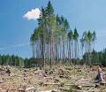 causes of climate change
