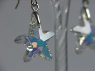 16MM STARFISH