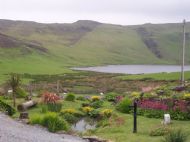 Kelpie Cottage Gardens