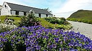 Kelpie cottage