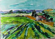 Vines, Languedoc