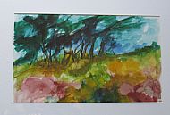 Warm Wind in Pines