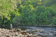 river alness salmon fishing, loanridge beat
