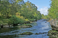 river alness salmon fishing, loanridge beat