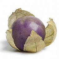 Tomatillo