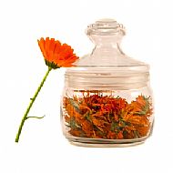 Calendula (A)