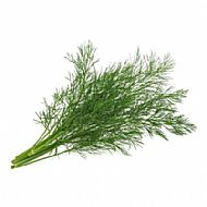 Dill