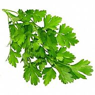 Parsley