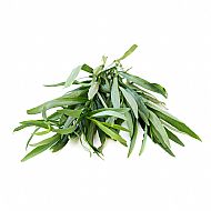 Tarragon (P)
