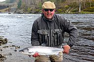 Upper Fairburn Springer