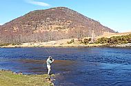 Spring Salmon Fishing