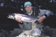 Alness 11 Pounder