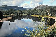 Lower Fairburn/Brahan