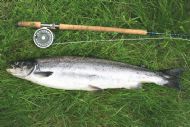 John's 15 Pounder