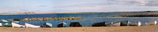 troutquest excursion - wild brown trout fishing on st. john's loch, caithness.
