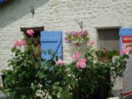 Sheila's flower pots