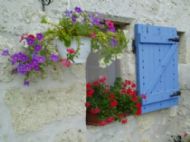 Close up of Sheila's baskets