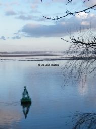 Tranquility
