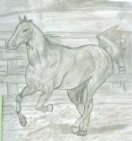 A galloping horse