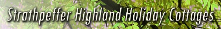 Beechwood Highland Holiday Cottages