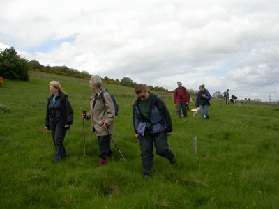 bioblitz