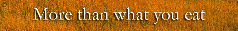 More than what you Eat 
