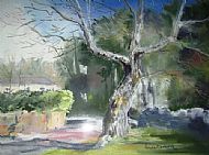 Pam Hardwick