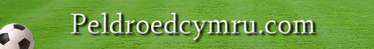 peldroedcymru.com