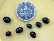 New Zealand Flatworm Eggs