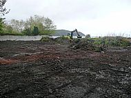 Mini-digger clearing undergrowth