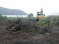 More clearing