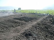 Planting and rows
