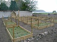 Colin's Raised Bed Empire - update