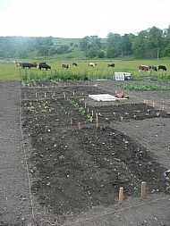 John Keiller's Plot