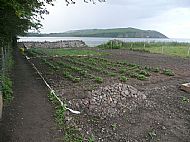 Colin Miller's Plot